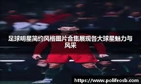 大伤前的考辛斯打球也是很残暴的