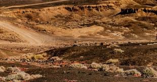 不止小丑牌：发行商Playstack和那些热门独立游戏背后的故事